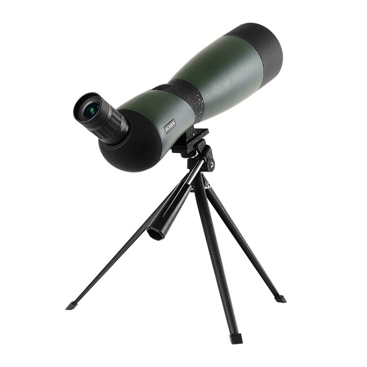 product-750-750 product-750-750