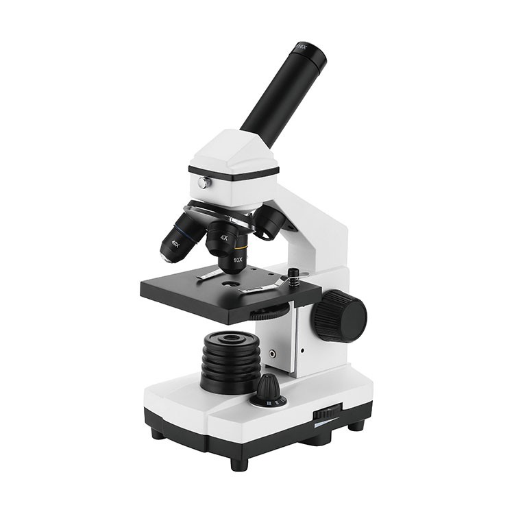 Meilleur microscope pour étudiants