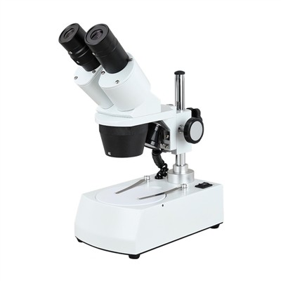 comment fonctionne un stéréomicroscope