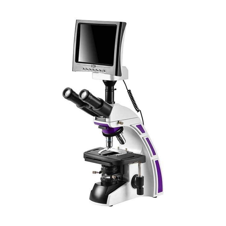 Microscope numérique LCD portable